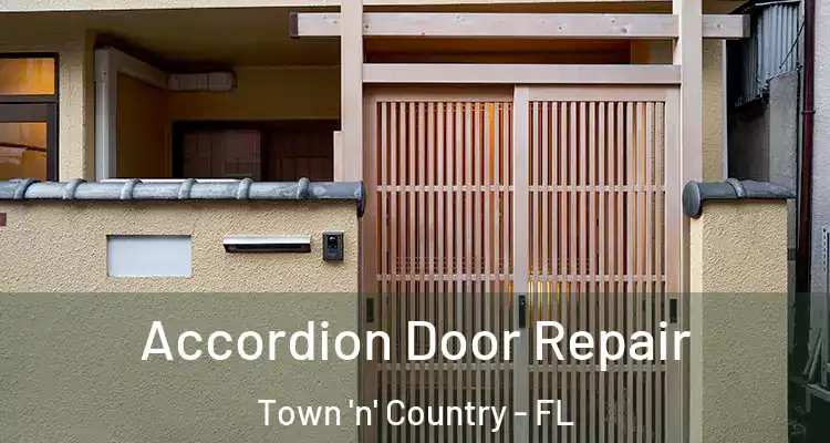 Accordion Door Repair Town 'n' Country - FL