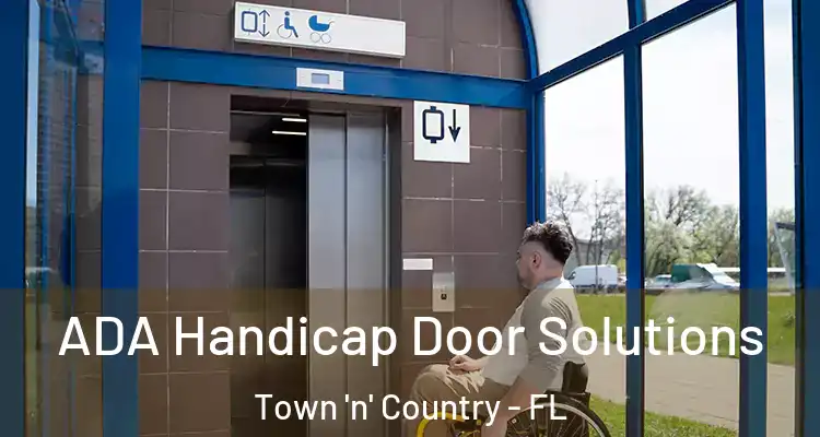 ADA Handicap Door Solutions Town 'n' Country - FL