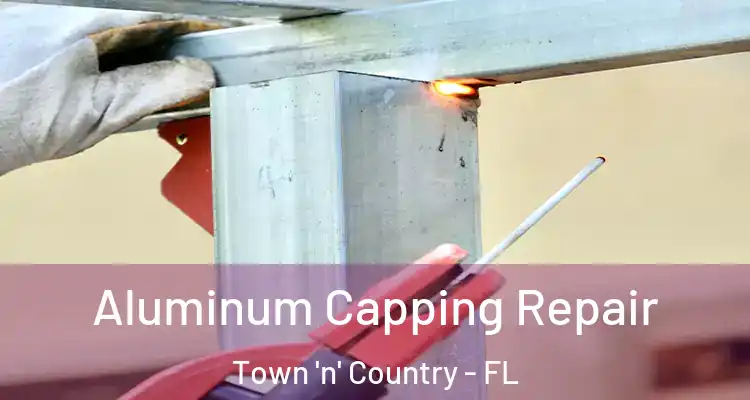 Aluminum Capping Repair Town 'n' Country - FL
