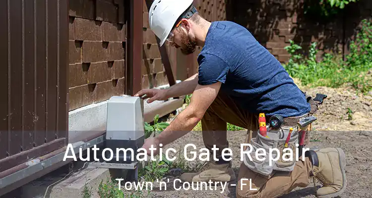 Automatic Gate Repair Town 'n' Country - FL