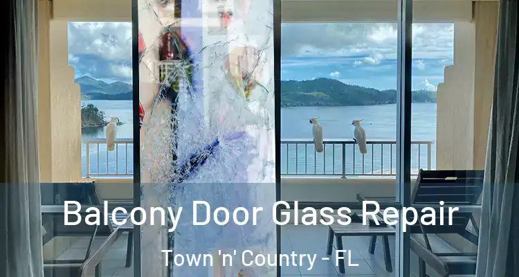 Balcony Door Glass Repair Town 'n' Country - FL