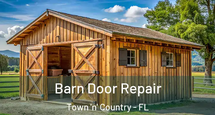 Barn Door Repair Town 'n' Country - FL