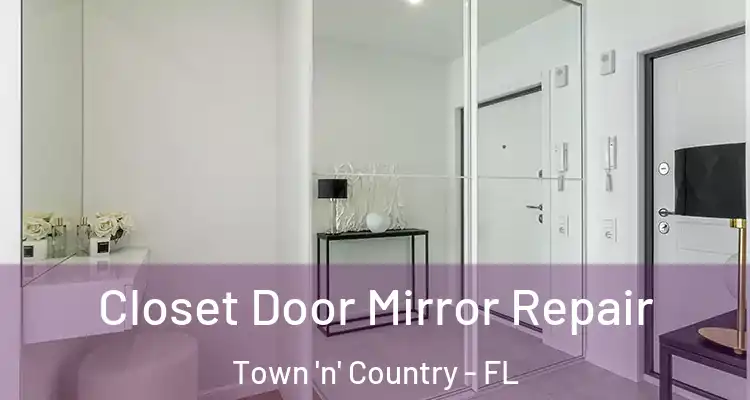 Closet Door Mirror Repair Town 'n' Country - FL