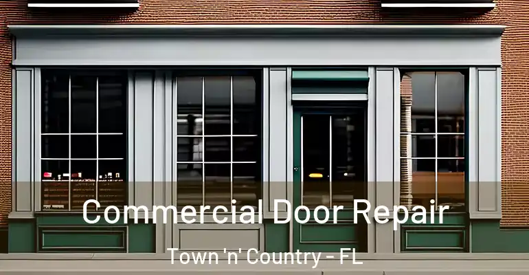 Commercial Door Repair Town 'n' Country - FL