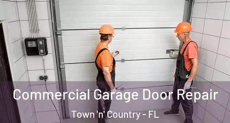 Commercial Garage Door Repair Town 'n' Country - FL
