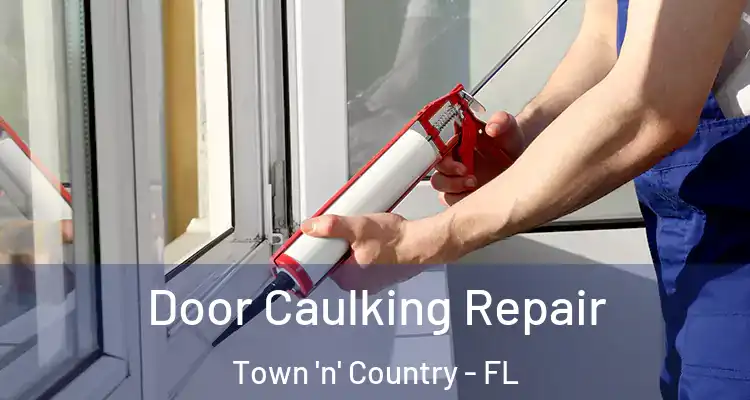 Door Caulking Repair Town 'n' Country - FL