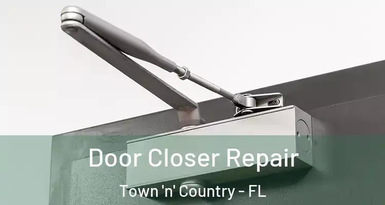 Door Closer Repair Town 'n' Country - FL