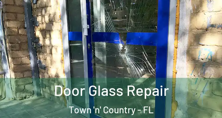 Door Glass Repair Town 'n' Country - FL