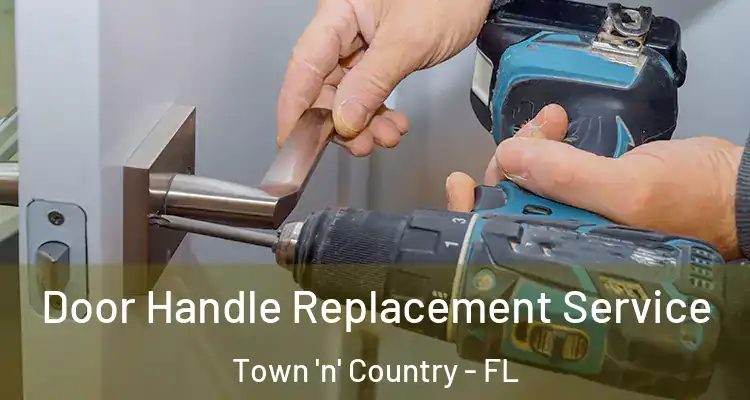 Door Handle Replacement Service Town 'n' Country - FL