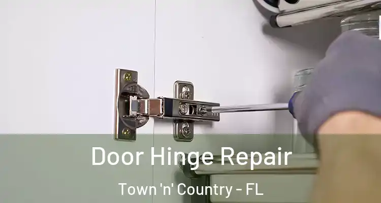 Door Hinge Repair Town 'n' Country - FL