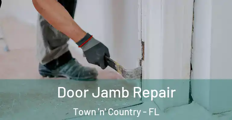 Door Jamb Repair Town 'n' Country - FL