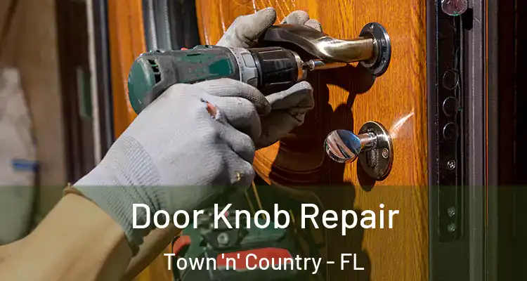 Door Knob Repair Town 'n' Country - FL