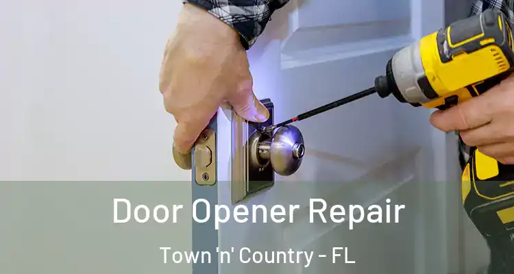 Door Opener Repair Town 'n' Country - FL