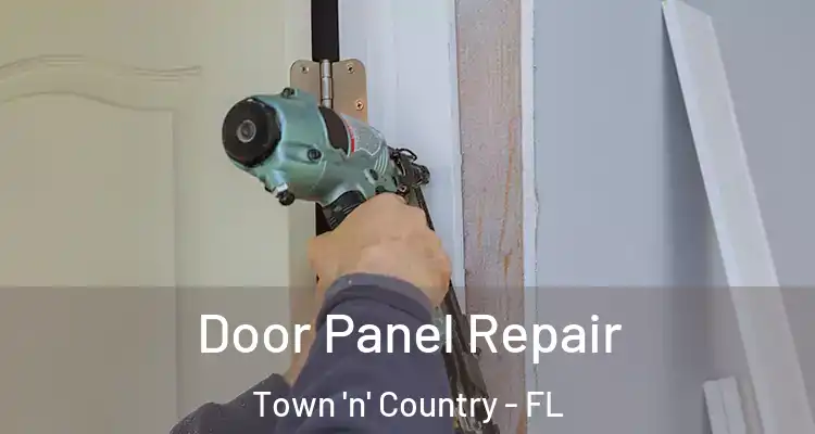 Door Panel Repair Town 'n' Country - FL