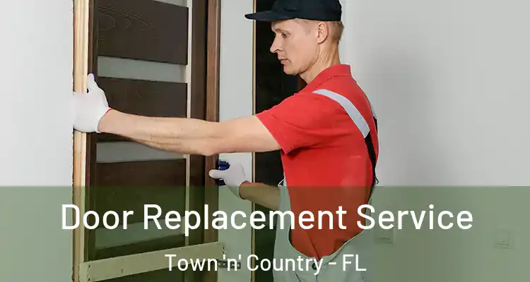 Door Replacement Service Town 'n' Country - FL