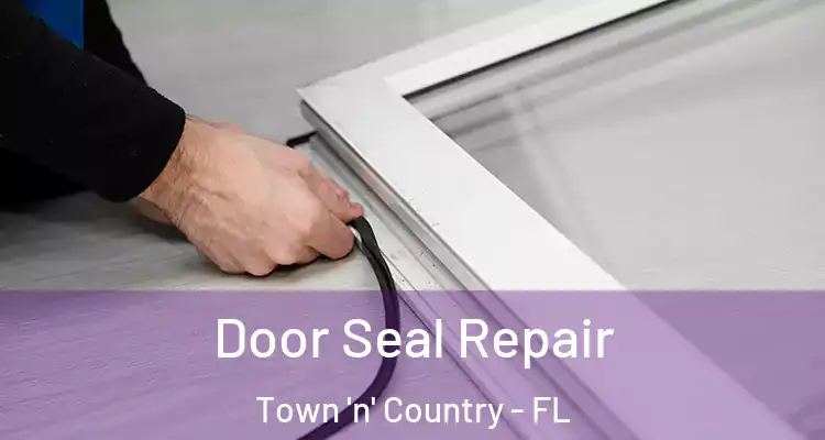 Door Seal Repair Town 'n' Country - FL
