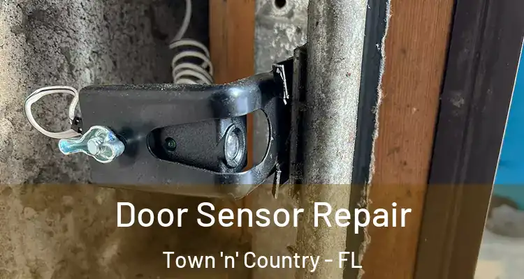 Door Sensor Repair Town 'n' Country - FL