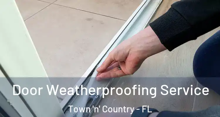 Door Weatherproofing Service Town 'n' Country - FL