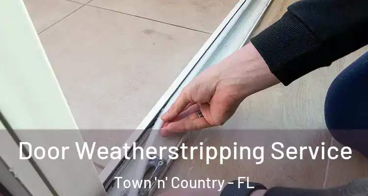 Door Weatherstripping Service Town 'n' Country - FL