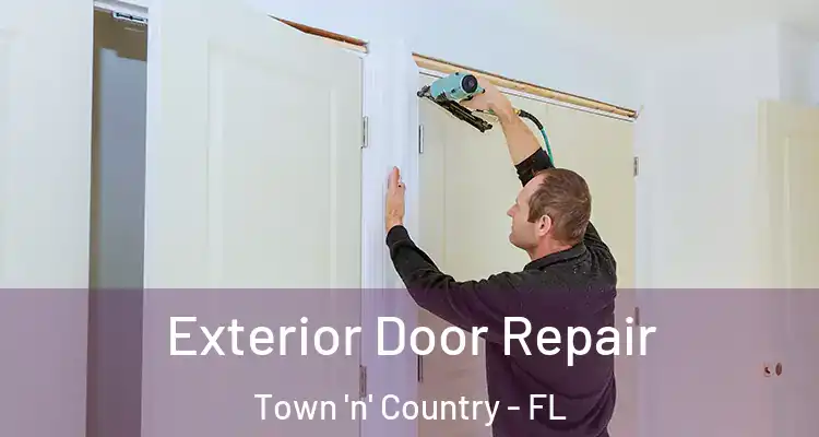 Exterior Door Repair Town 'n' Country - FL