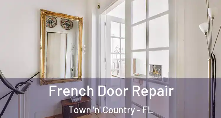 French Door Repair Town 'n' Country - FL