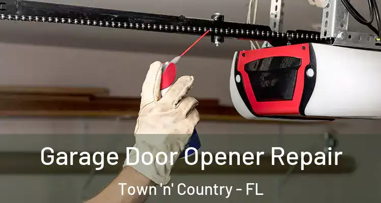 Garage Door Opener Repair Town 'n' Country - FL