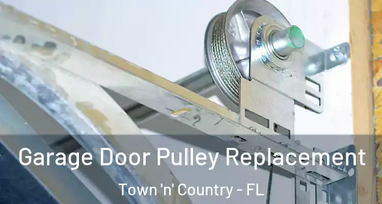 Garage Door Pulley Replacement Town 'n' Country - FL