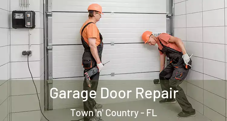 Garage Door Repair Town 'n' Country - FL