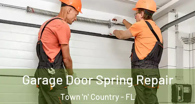 Garage Door Spring Repair Town 'n' Country - FL