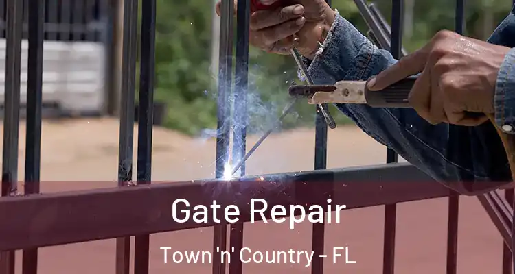Gate Repair Town 'n' Country - FL