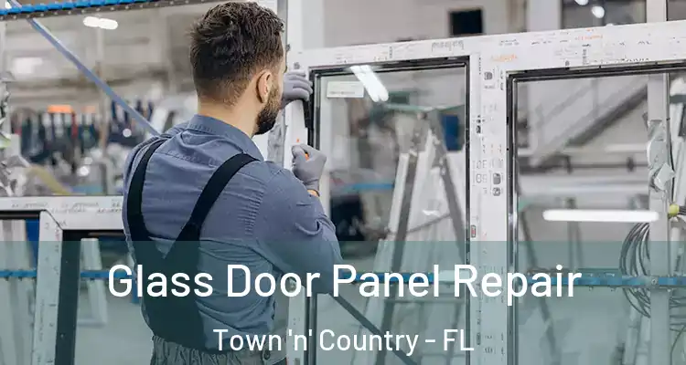 Glass Door Panel Repair Town 'n' Country - FL
