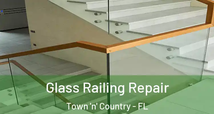 Glass Railing Repair Town 'n' Country - FL