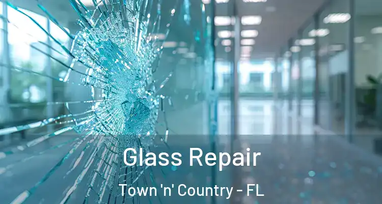 Glass Repair Town 'n' Country - FL