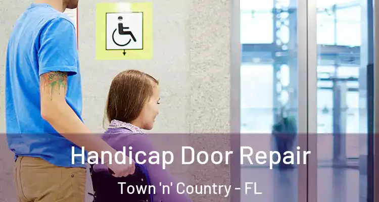 Handicap Door Repair Town 'n' Country - FL