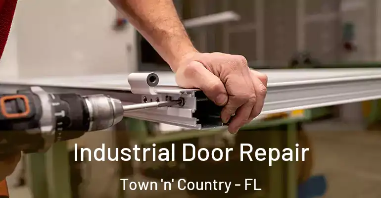 Industrial Door Repair Town 'n' Country - FL