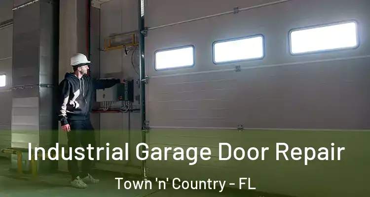 Industrial Garage Door Repair Town 'n' Country - FL