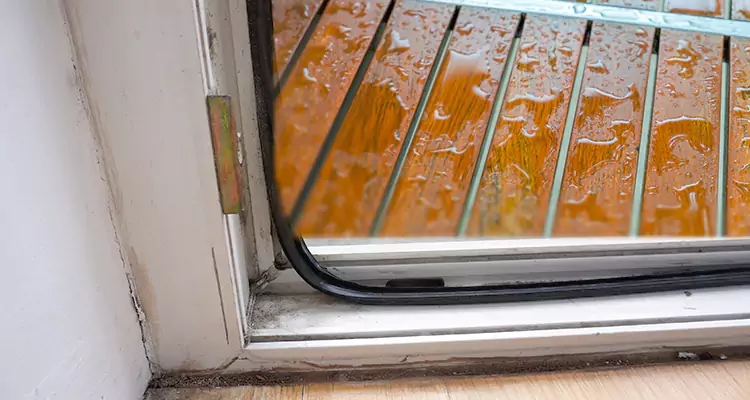 Water Leaking Wooden Patio Doors Repair in Town 'n' Country, FL