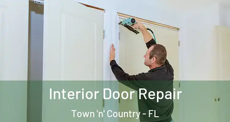 Interior Door Repair Town 'n' Country - FL