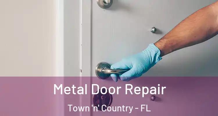 Metal Door Repair Town 'n' Country - FL