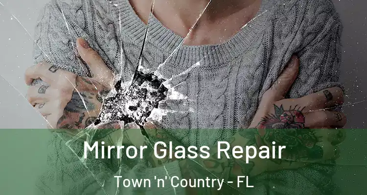 Mirror Glass Repair Town 'n' Country - FL