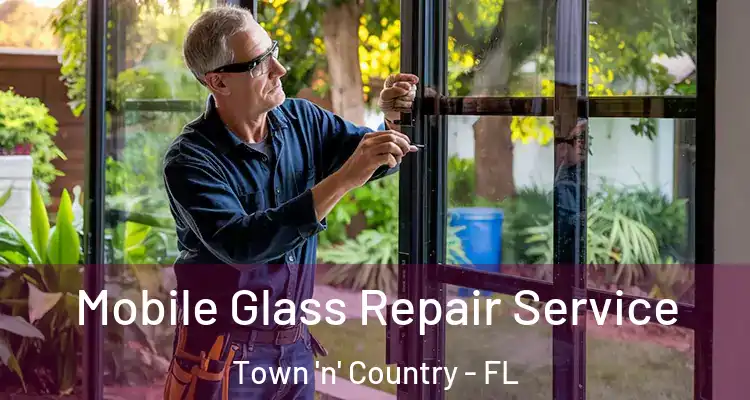 Mobile Glass Repair Service Town 'n' Country - FL