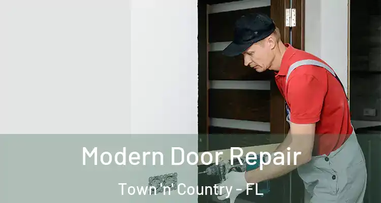 Modern Door Repair Town 'n' Country - FL
