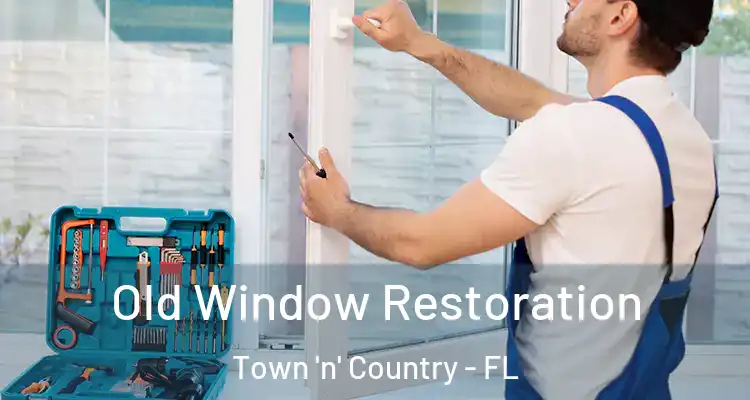 Old Window Restoration Town 'n' Country - FL