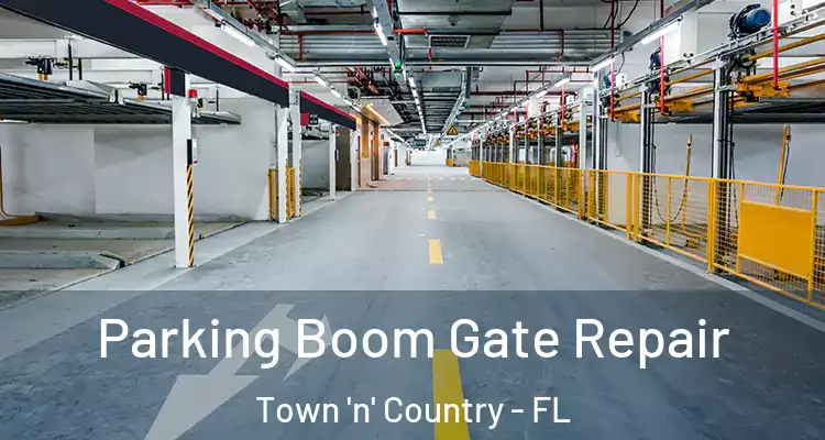 Parking Boom Gate Repair Town 'n' Country - FL