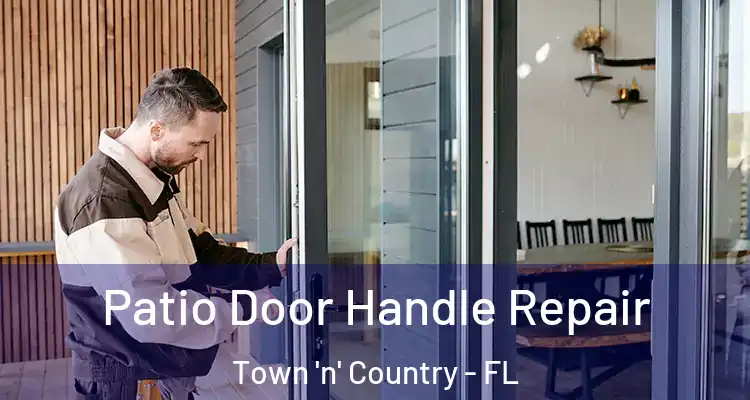 Patio Door Handle Repair Town 'n' Country - FL