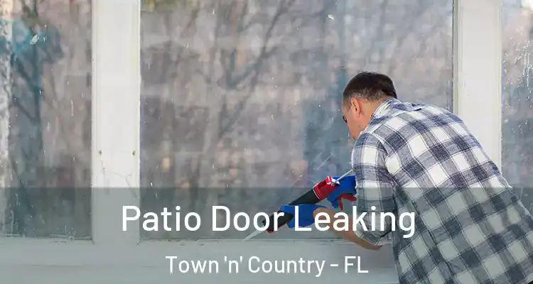 Patio Door Leaking Town 'n' Country - FL