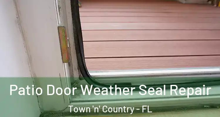 Patio Door Weather Seal Repair Town 'n' Country - FL