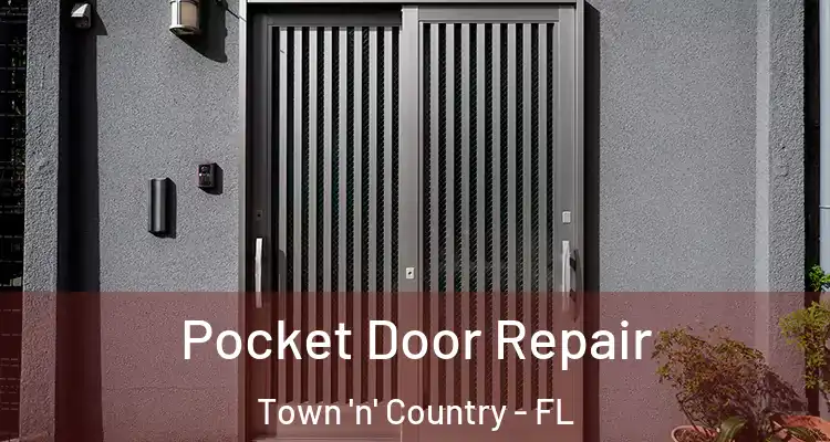 Pocket Door Repair Town 'n' Country - FL