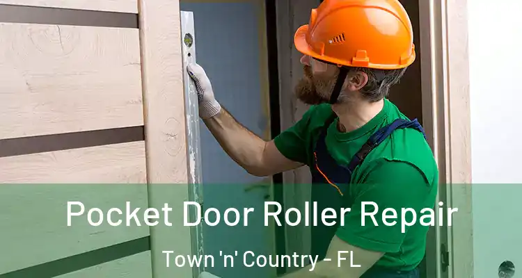 Pocket Door Roller Repair Town 'n' Country - FL
