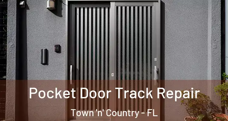 Pocket Door Track Repair Town 'n' Country - FL